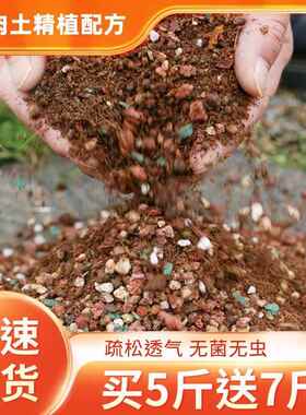 【买5斤送7斤】多肉专用颗粒土控型上色多肉土发根营养土控根透气