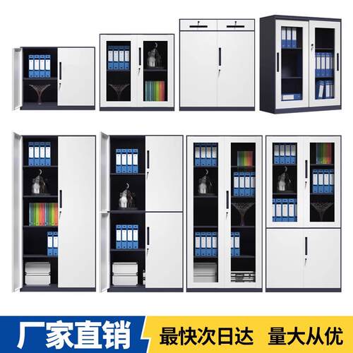 拆办钢制文件柜档案柜公室资储料柜装财务凭证带锁物柜铁皮BFL--0