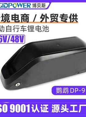 跨境电商鹦鹉款DP-9电动自行车锂电池36V48V山地自行车电池组