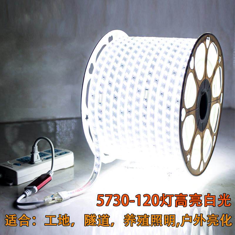 led灯带100米220V户外工程照明户外防水养殖塔吊工地地下室24V36V,家装灯饰光源,室内LED灯带,淘宝优惠券,粉丝福利购,淘宝优惠卷