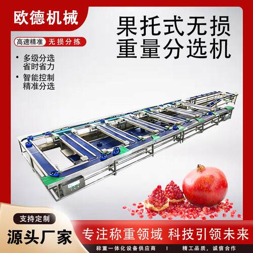 水果无损果托分选机西瓜水蜜桃自由果托式皮带分拣机榴莲分选机