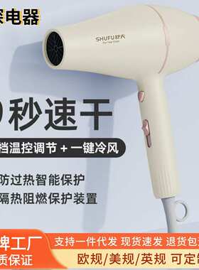 舒夫发廊电吹风机家用负离子护发大风力理发店不伤发工厂源头代发