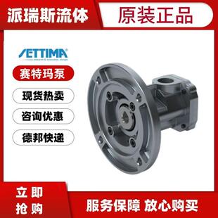 现货SETTIMA赛特玛GR33 2C 10CC FSAEA AC G机床油泵GR33 2C 13CC