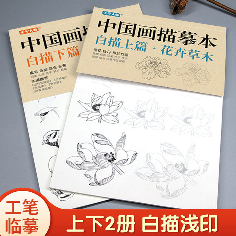 中国画工笔画描摹基础训练速写本