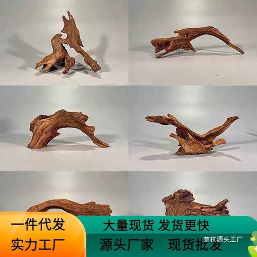 枯木树枝沉木现代爬宠躲避攀爬木鬃狮蜥晒台捷角守宫蛇饲养箱造景