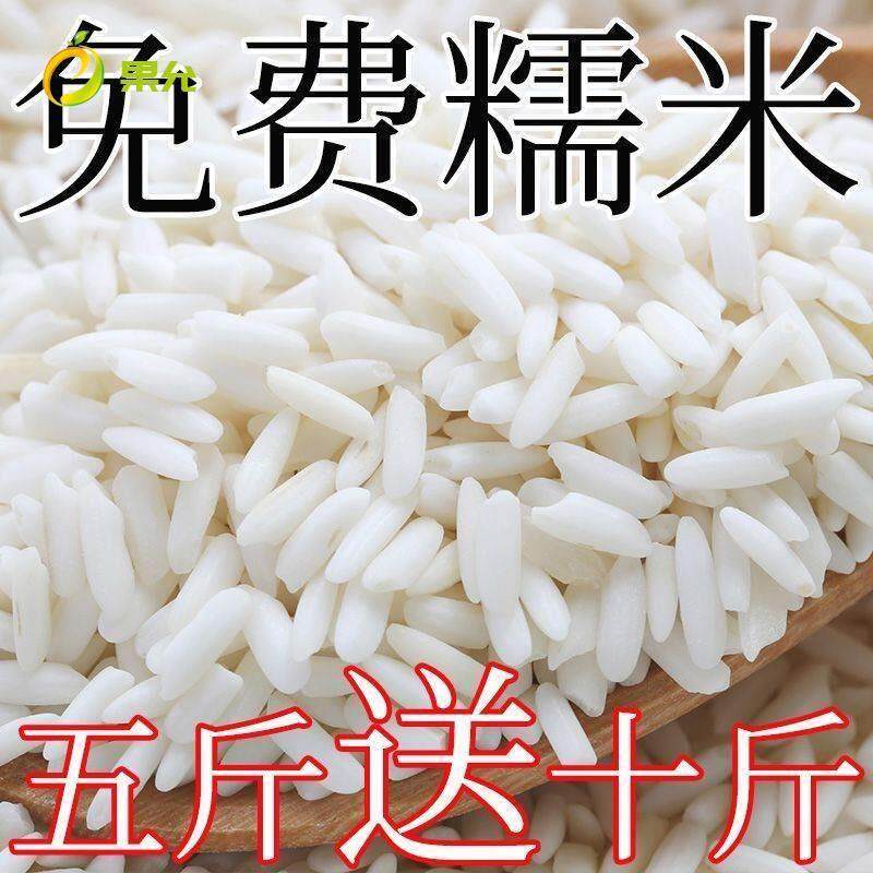 【当季新米】长糯米长江米新鲜散装 包粽子甜酒专用江米白糯米1斤