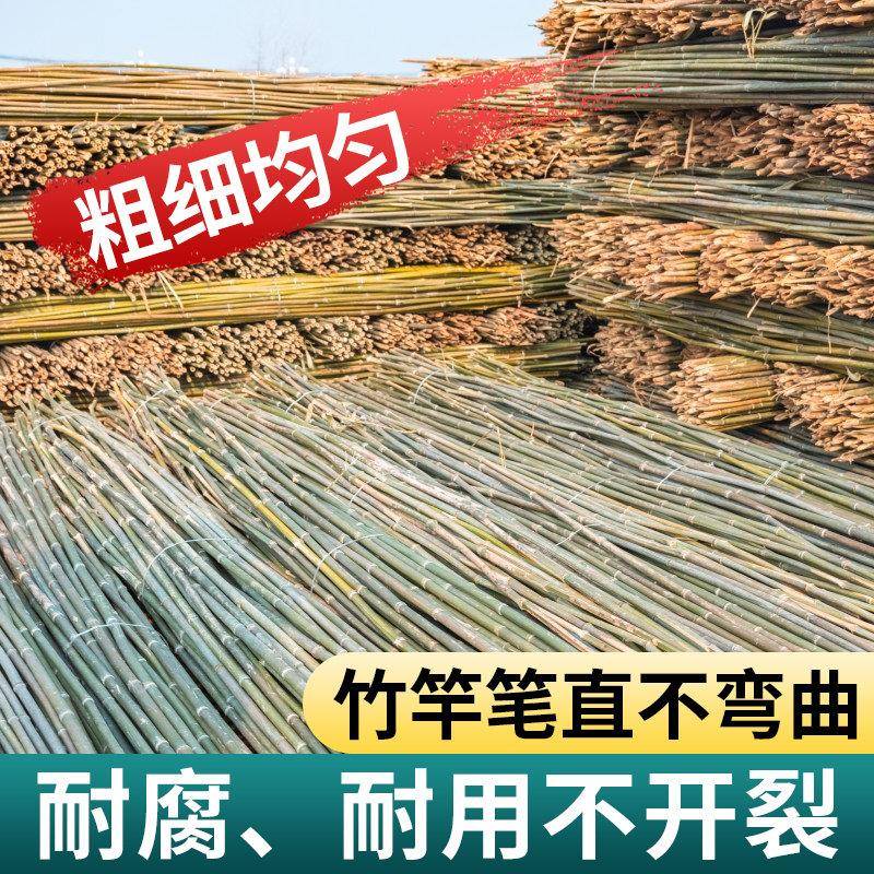 竹竿菜园搭架葡萄架蔬菜爬藤豆角架黄瓜竹杆棍篱笆栅栏防腐细竹子