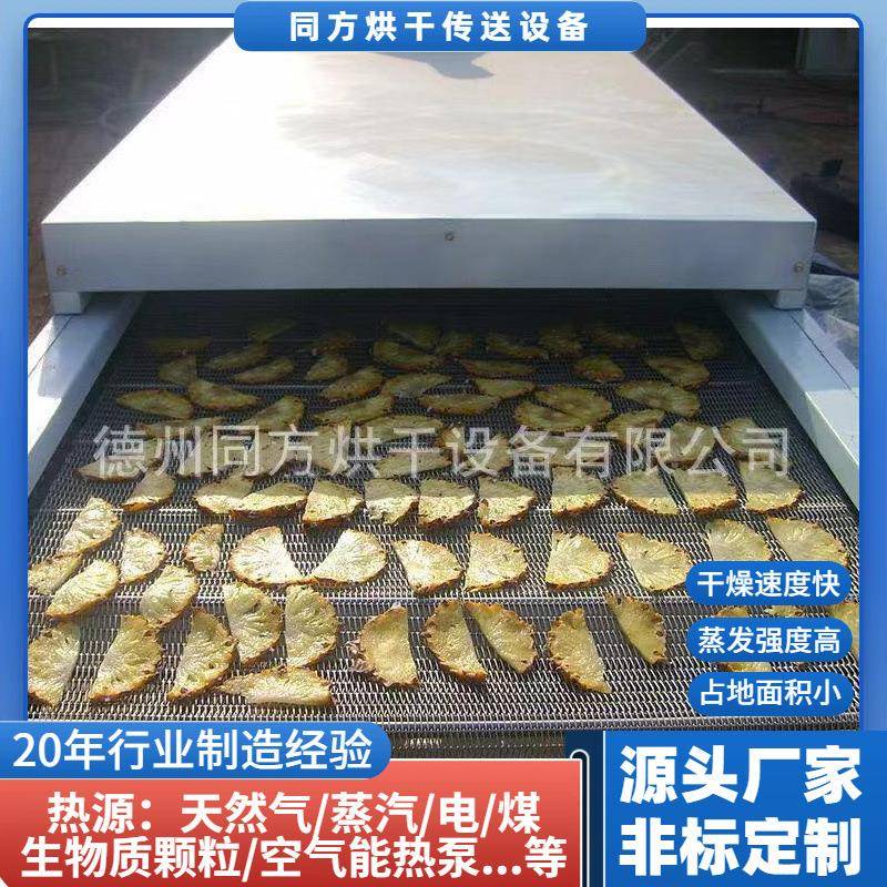 厂家供应小型水果烘干机带式果蔬干燥机水果片、菠萝片烘干机