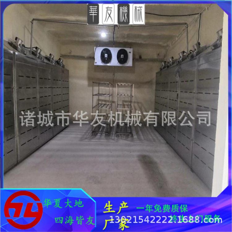 猪牛羊肉类解冻机器冻肉制品加工设备全自动低温湿解冻库设备图片