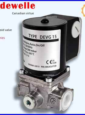 燃气电磁阀阀芯截止阀Devg15 Devg20 Devg25 Devg40 Devg50