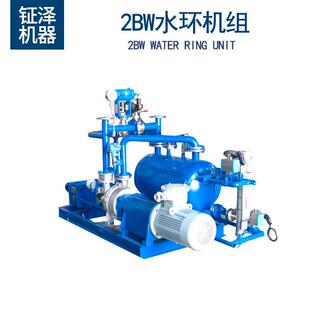 2BW水环式 闭式 循环真空机组 不锈钢真空泵机组 真空泵机组