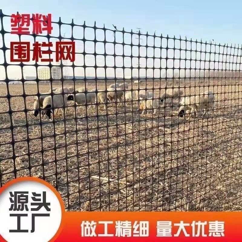 塑料围栏网养殖玉米塑料养鸡网果园围栏防护网特厚新款鸡网