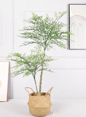 仿真植南天竹盆栽造景火焰天绿OLF-5402竹客树厅兰家居装饰仿真南