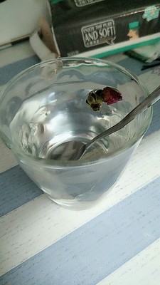 深度讨论中闽飘香代用/花草茶怎么样，买后三个月使用谈缺点！