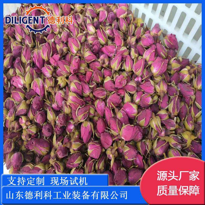 草莓玫瑰花茶片真空冻干机真空冷冻干燥设备海鲜肉制品真空冻干机