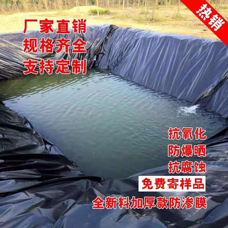 鱼塘防渗膜土工膜加厚黑色塑料养殖膜水池膜鱼池防水布蓄水膜