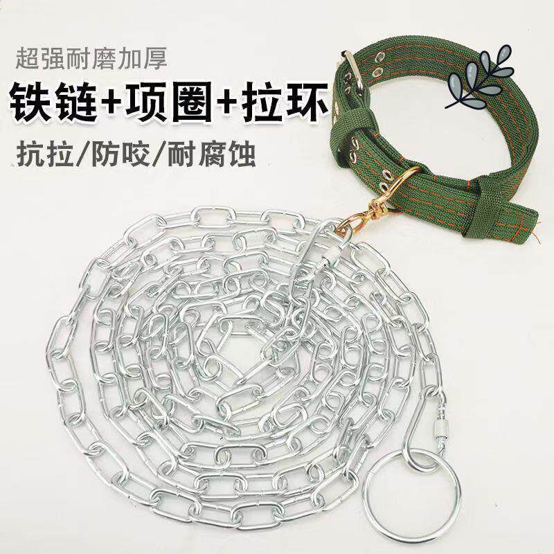 拴狗的铁链拴狗绳脖套狗狗牵引绳狗链子狗项圈中大小型犬宠物用品