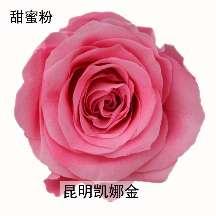 新款直销跨境A级5-6永生玫瑰花 圣诞情人节礼品配材干花 花头保鲜