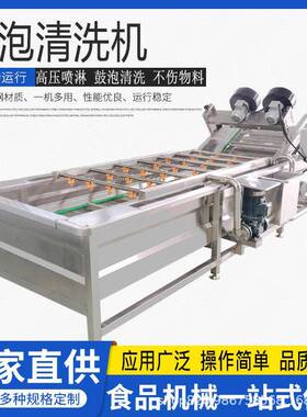 多功能气泡式水果清洗机猕猴桃李子清洗机金桔沃柑流水清洗线