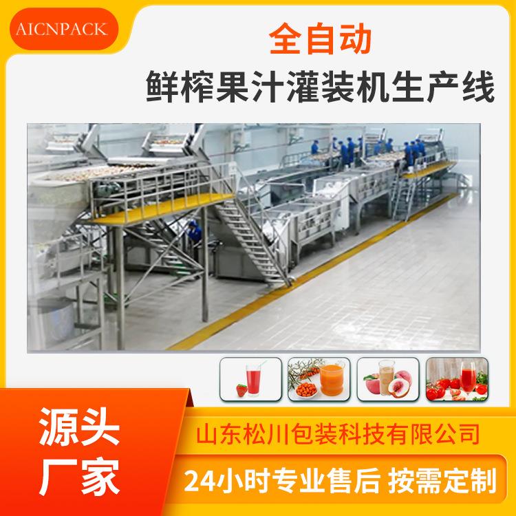 机械厂家直供全自动鲜榨果汁灌装机生产线蓝莓果汁生产设备