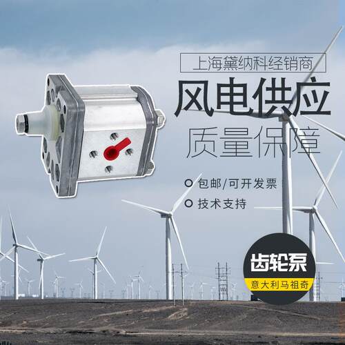 MARZOCCHI齿轮泵油泵KL1PD2GGASST意大利液压泵