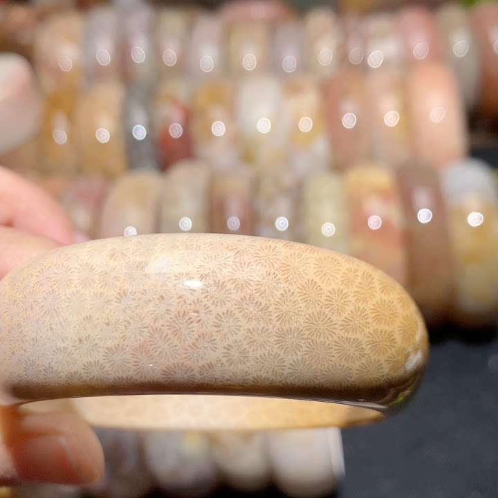 珊瑚玉原矿纯天然大漏53.6菊首饰盒