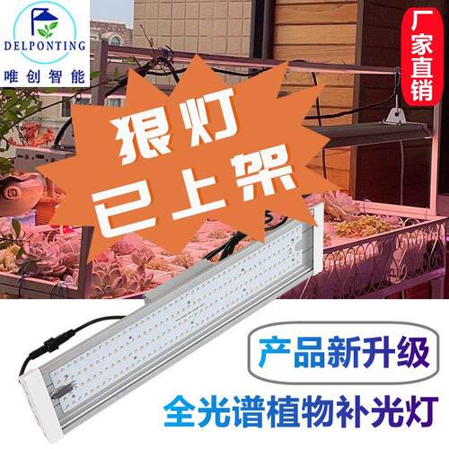 大功率LED植物补光灯 彷太阳全光谱生长灯 100W-300W钢制补光灯