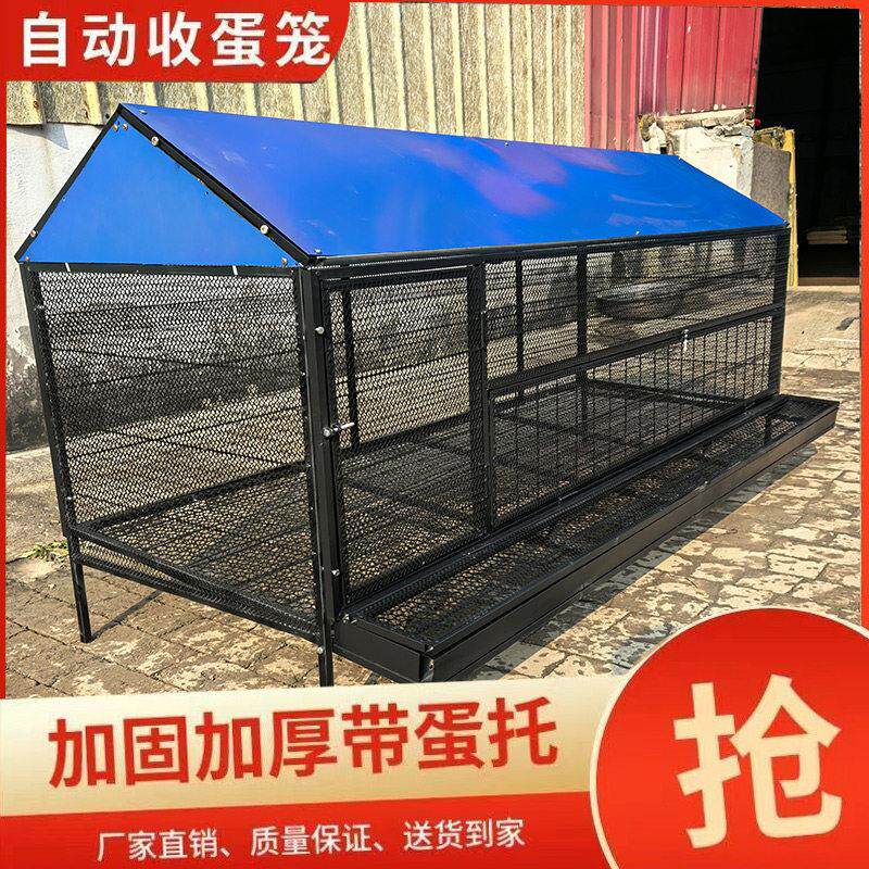 尖顶养鸡笼子家用鸡鸭兔笼户外养鸡棚防黄鼠狼防鼠蛇不生锈养殖笼