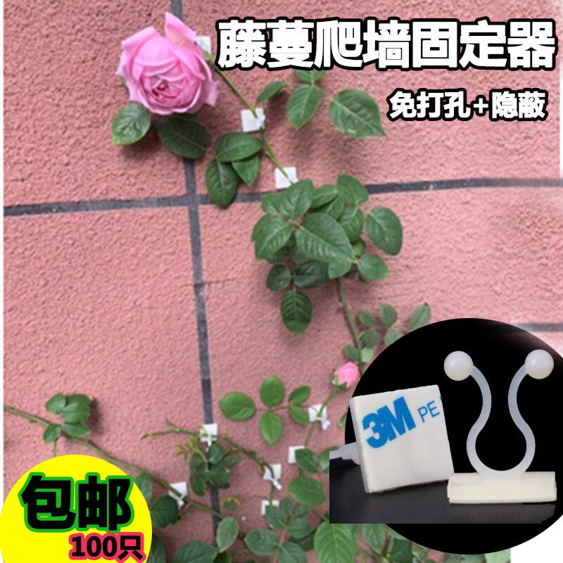 黏贴扭线环电线理线神器束线夹黄金葛爬墙固定器自粘式夹线钉子卡