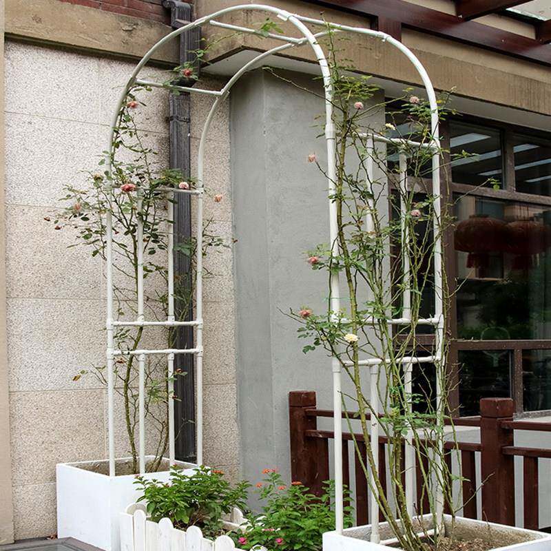 4花园植物拱门花架庭院铁艺户外钢不锈半拱门月铁线攀爬藤支季莲