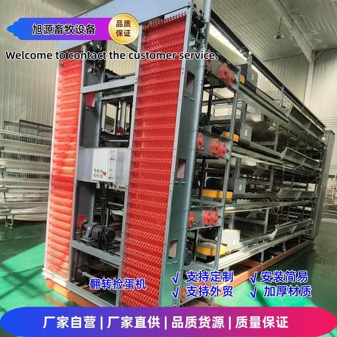 蛋鸡集蛋捡蛋一体化自动化翻转式捡蛋机全自动大层叠蛋鸡笼