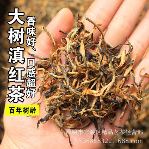 古树滇红 云南特及滇红茶 散装红茶 蜜香 耐泡浓香
