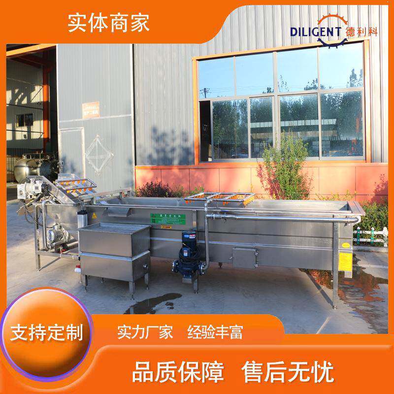 黄桃罐头加工设备新款黄桃去农残气泡清洗机金桔清洗机器