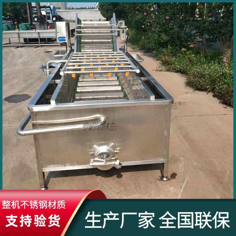 芒果高压喷淋气泡清洗机荔枝全自动清洗设备杨梅鼓泡翻浪清洗机