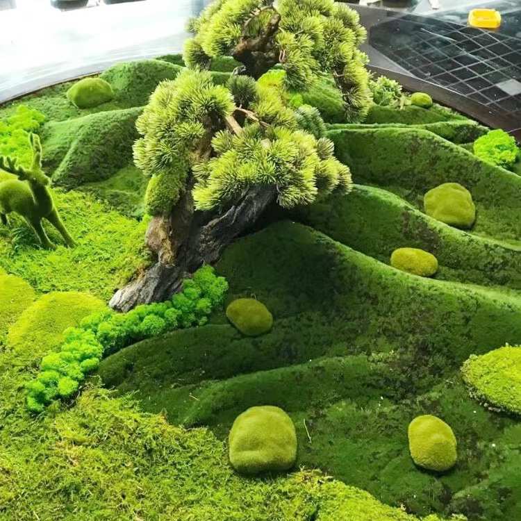仿真苔藓造景假青苔草坪草皮绿植 造景摆件盆景盆栽装饰微景观diy