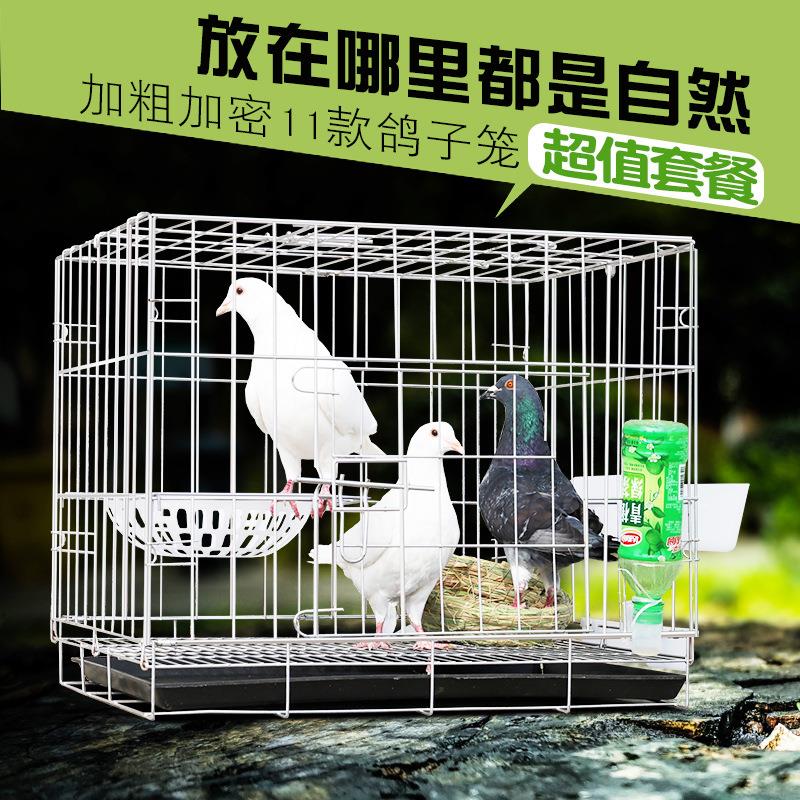 鸽子笼配对笼繁殖鸽子笼家用养殖鸽子笼折叠加密笼运输鸽笼可