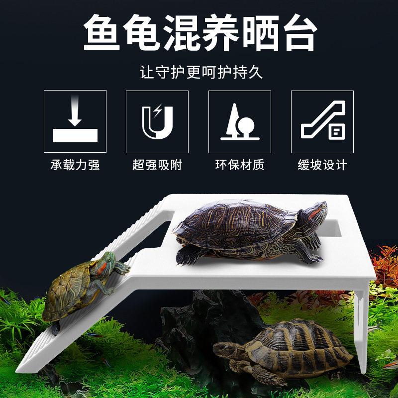 双梯乌龟晒台爬台晒背台鱼缸乌龟爬坡浮台浮岛家用龟缸造景装饰
