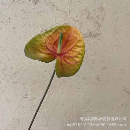 设计师高级 样板间直销工厂花掌保湿 手感仿真 高品质装饰常用
