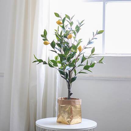 直销仿真盆栽绿植柠檬盆景假植物家居室内装饰仿真花柠檬树