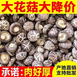 大花菇今年野生花菇，干货特产剪脚500g椴木，菇肉厚特级散装