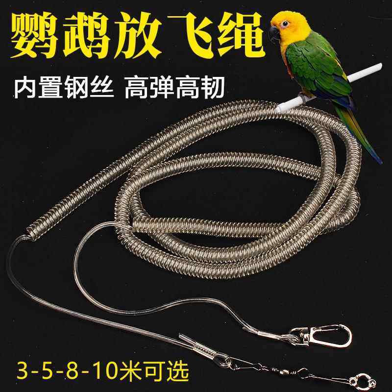 鹦鹉放飞绳训练绳鸟绳子牵引绳遛鸟绳飞行绳鸟用超轻脚链脚环包邮,宠物/宠物食品及用品,鸟用放飞绳,淘宝优惠券,粉丝福利购,淘宝优惠卷
