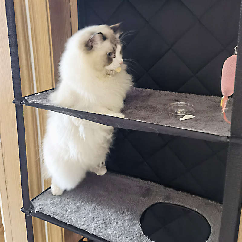 K&H门后猫爬架猫别墅猫笼家用室内猫屋猫窝超大空间猫房猫咪挂床