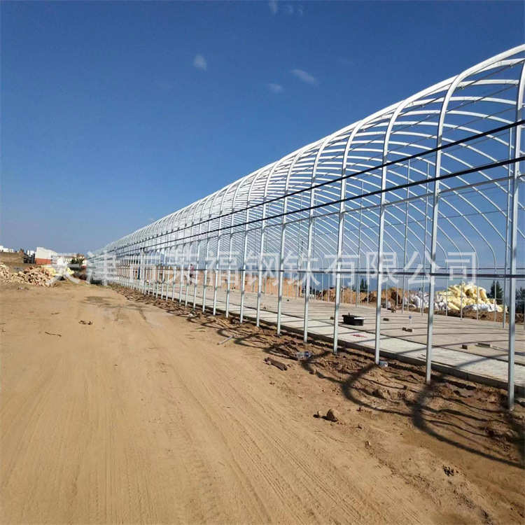 厂家外遮阳养殖大棚畜牧温室大棚耐用椭圆管牛棚家禽养殖保温大棚