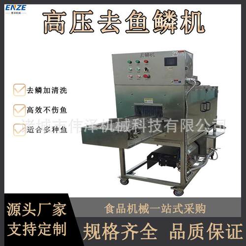 全自动杀鱼开背去鳞机鲤鱼草鱼快速去鳞机水产深加工刮鳞设备