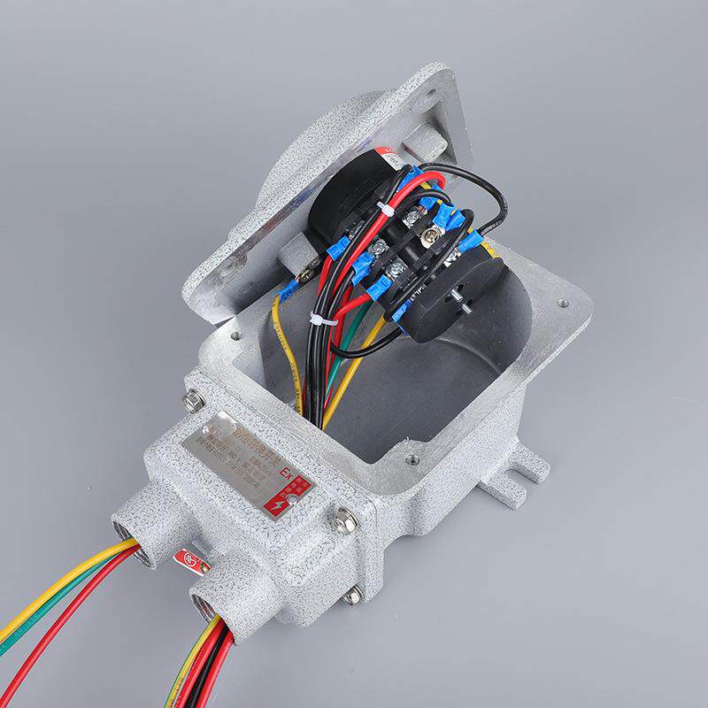 防爆双速转换开关BHZ51-25A马达水泵电机用启动组合开关380V软管