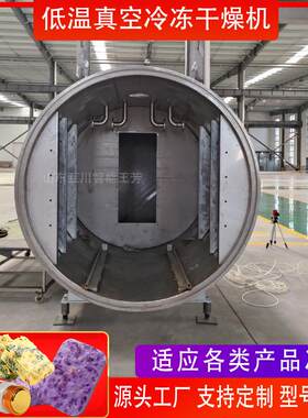 青馄稞冻干面大型商用设备 FD 冻干料面汤冷冻燥机饨面条冻真空冻