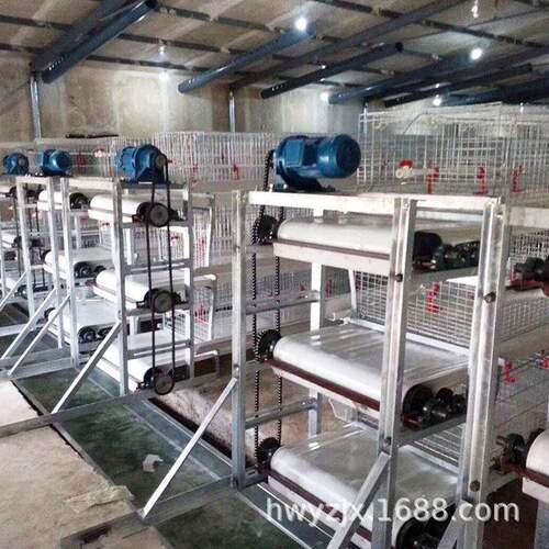 输送带式清粪机机械安装效果图履带式鸡粪搅拌机清理设备养鸡场