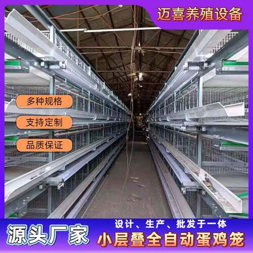 小层叠全自动蛋鸡笼背负式喂料全自动养殖专业养鸡设备自动集蛋