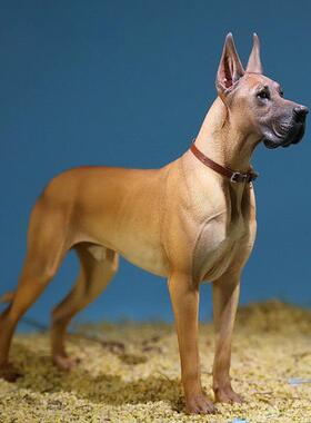 宠物训犬球狗玩具训狗飞盘拉环响片耐咬咬棒专用马犬德牧训练用品