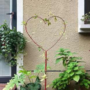 心形花架爬藤架铁线莲蓝雪花茉莉棒棒糖造型园艺固定花盆支架萍润